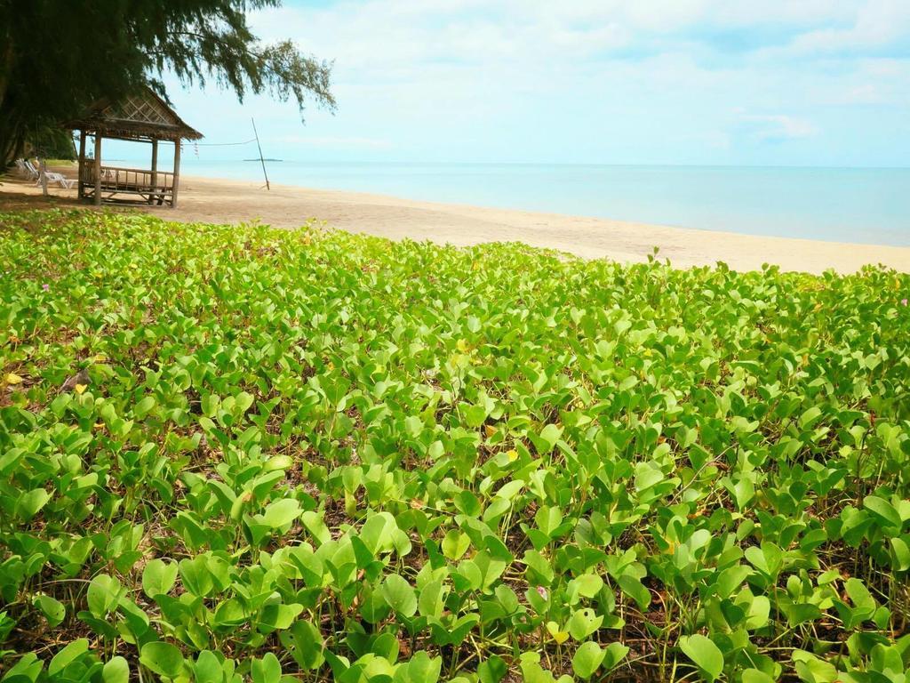 Bayview Beach Resort Ban Krut  Buitenkant foto